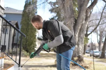Pressure Washing